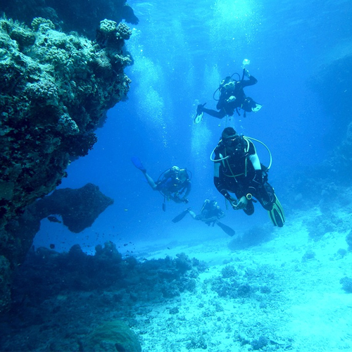 Diving