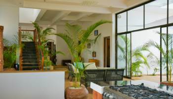 Gallery 8