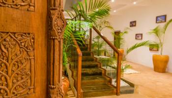 Gallery 7
